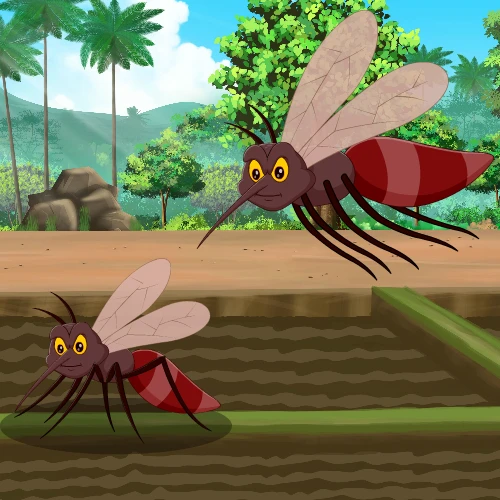 Insects Characters